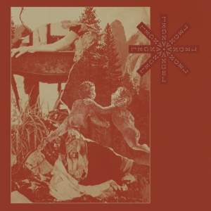 Sex Virgin Killer - ANGEL (1 x LP)
