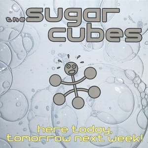 SUGARCUBES - HERE TODAY, TOMORROW NEXT WEEK!