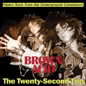 Various Artists - BROWN ACID - THE TWENTY-SECOND TRIP (1 x LP)