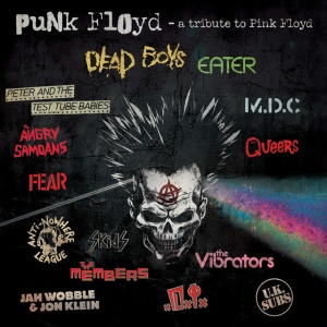 Various Artists - PUNK FLOYD - A TRIBUTE TO PINK FLOYD (1 x LP)