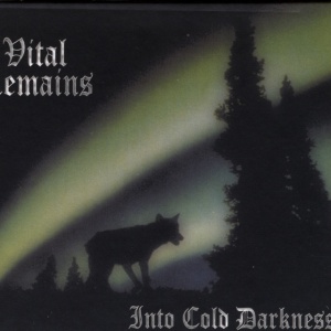 VITAL REMAINS - INTO COLD DARKNESS
