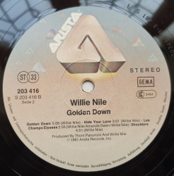 Willie Nile – албум Golden Down - Img 3