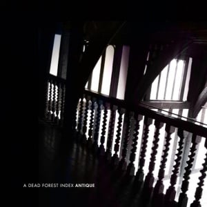 A DEAD FOREST INDEX - ANTIQUE