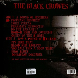 BLACK CROWES - A POUND OF FEATHERS (1xLP) - Img 2
