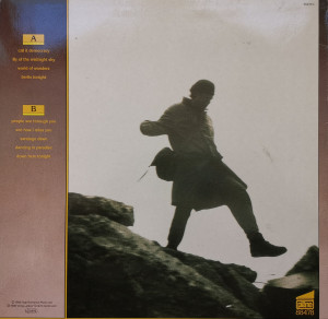 Bruce Cockburn – албум World Of Wonders - Img 2