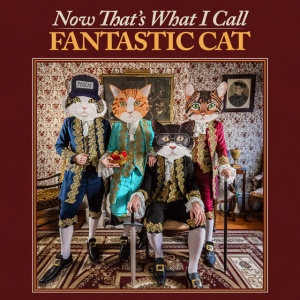 FANTASTIC CAT - NOW THAT'S WHAT I CALL FANTASTIC CAT (1 x LP)