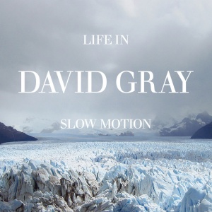 GRAY, DAVID - LIFE IN SLOW MOTION