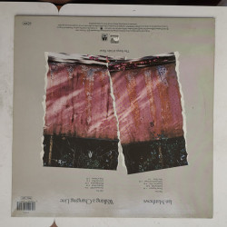 Ian Matthews – албум Walking A Changing Line - Img 3