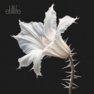 Kariti - STILL LIFE (1 x LP)