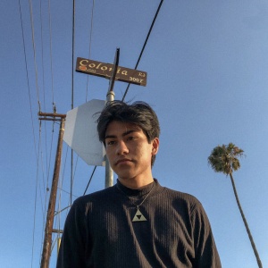 Los Retros - EARLY DAYS (2016-2019) (1 x LP)