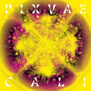 Pixvae - CALI (1 x LP)