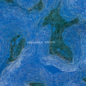 Sakanaction - 834,194 (4 x LP)