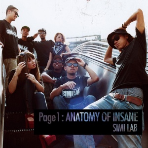 Simi Lab - PAGE 1 : ANATOMY OF INSANE (2 x LP)