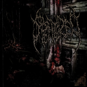Sterilized - MANGLED BIOMECHANICAL AMALGATIONS (1 x CD)