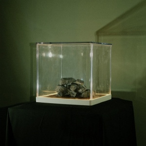 Tra Phaidin - CLOCH'S CLAI (1 x LP)