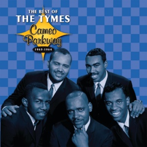 TYMES - THE BEST OF THE TYMES 1963-1964