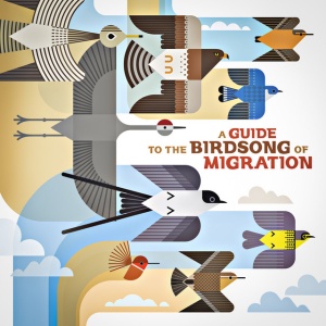 V/A - A GUIDE TO THE BIRDSONG OF MIGRATION