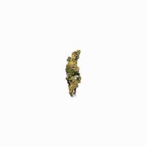 V/A - PLANGENT COMPILATION VOL. 1