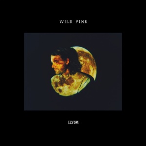 WILD PINK - ILYSM