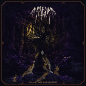 APTERA - YOU CAN'T BURY WHAT STILL BURNS