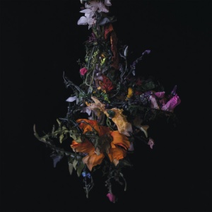 BIG BRAVE - NATURE MORTE