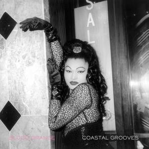 Blood Orange - COASTAL GROOVES (1 x LP)