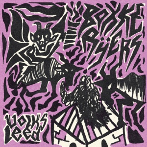 Bokkeryers - VOLKSLEED (1 x CD)