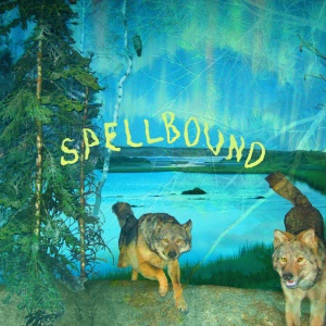 BOYSCOTT - SPELLBOUND