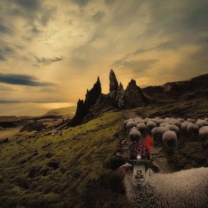 CARDUCCI, FRANCK - SHEEPLE
