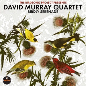 DAVID MURRAY QUARTET - BIRDLY SERENADE