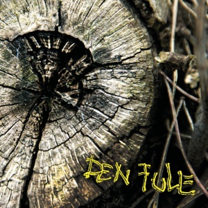 Den Fule - DEN FULE (1 x CD)