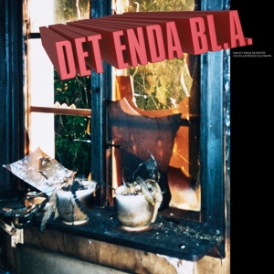 DET ENDA BL.A. - SOM ATT BORJA GA NEDFOR I EN STILLASTAENDE RULLTRAPPA