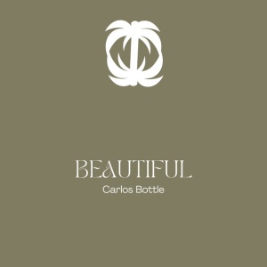 Dj Kawasaki - BEAUTIFUL (1 x LP)