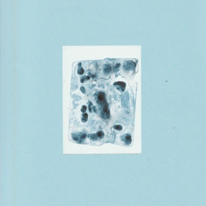Fohn - PORCELAIN (1 x LP)