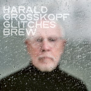 Harald Grosskopf - GLITCHES BREW (1 x LP)