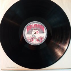 Johnny 'Guitar' Watson – албум The Gangster Is Back - Img 3