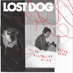KLUG, OLIVE - LOST DOG