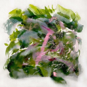 MIZU - FOREST SCENES