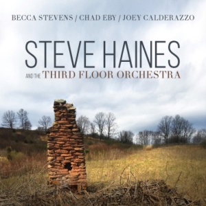 STEVE HAINES AND THE T... - STEVE HAINES AND THE THIRD FLOOR ORCHESTRA