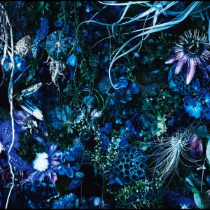 Sugizo - ONENESS M (2 x LP)