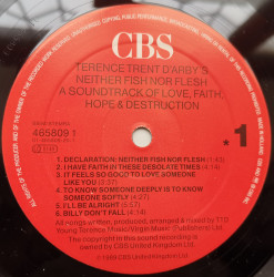 Terence Trent D'Arby – албум Terence Trent D'Arby's Neither Fish Nor Flesh (A Soundtrack Of Love, Faith, Hope & Destruction) - Img 3