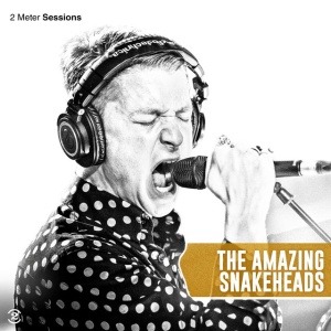 The Amazing Snakeheads - 2 METER SESSIONS (1 x LP)