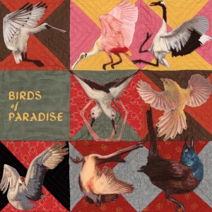 Thomas Dollbaum - BIRDS OF PARADISE (1 x LP)