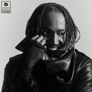 Thundercat - DISTRACTED (1 x LP)