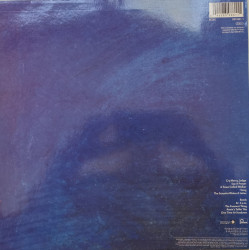 Tom Verlaine – албум Flash Light - Img 2