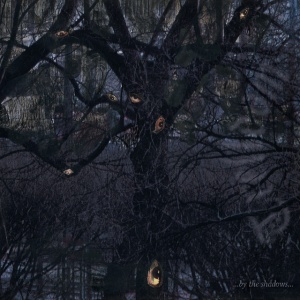 TRELLDOM - ...BY THE SHADOWS...
