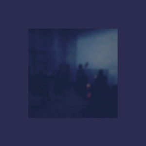 Various Artists - FIELD RECORDINGS FROM ... (1 x LP)