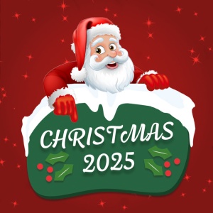 Various Artists - MERRY CHRISTMAS 2026 (2 x LP)