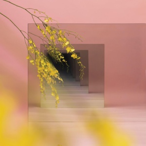 WITXES - ORIENTS