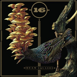 16 - DREAM SQUASHER